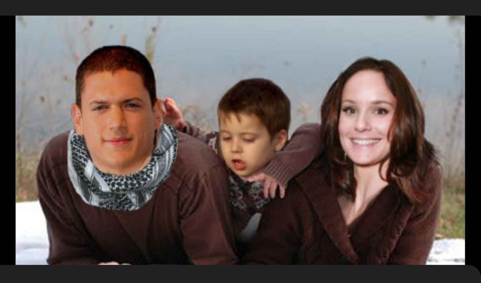 Wentworth Miller Height, Net Worth 2025 – Professional Life and more